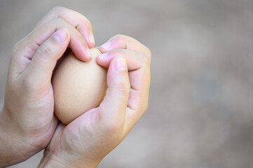 Asia woman's hand holds a pair of chicken eggs in blurred background of farm