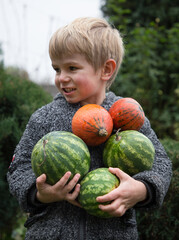 Fototapeta premium cute boy 4 years old holds three small watermelons and two pumpkins in his hands. Seasonal harvest. Little helper. Agriculture. Delicious healthy vitamin food. selective focus