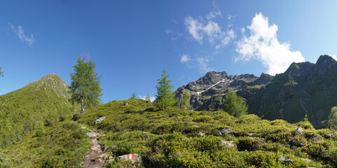 Fototapeta na wymiar Bei Matrei in Osttirol: Wanderung auf den Zunig