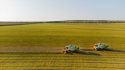 Combine harvesters are harvesting wheat. Aerial photography from a drone to harvesters working in the field.
