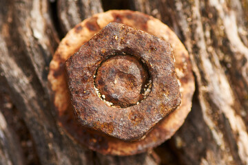 Close-up detail of an old rusty nut and packing ring screwed into wood in Ses Salines Natural Park (Formentera, Balearic Islands, Spain)