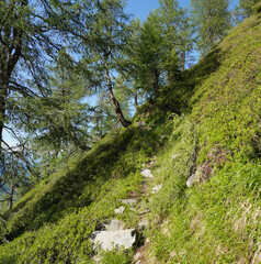 Bei Matrei in Osttirol: Wanderung auf den Zunig