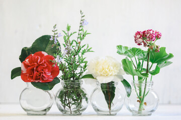 Variety of fresh flowers on display in clear white vases with white background