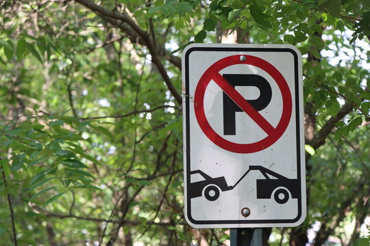 Parken verboten Schild. B&auml;ume im Hintergrund.