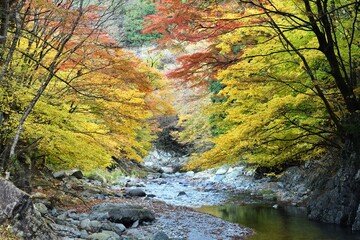 Oashi valley, Kanuma, Tochigi, in autumn