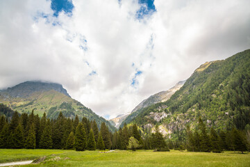 natural landscape with green mountain peaks in summer