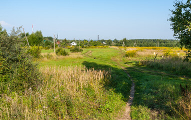 Countryside landscape with a dog on the road