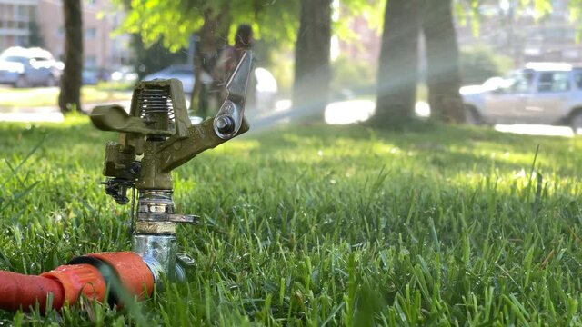 Lawn irrigation system working in a green park. Spraying the lawn with  water in hot weather. Automatic sprinkler. The automatic watering sprinkler  head watering the lawn. Smart garden. 18726157 Stock Video at