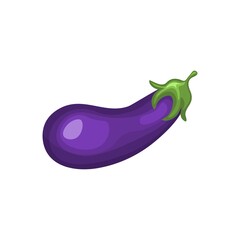  one eggplant isolated on white background. vector illustration. Healthy food and vitamin. Vegetarian food. 