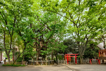 川崎市の稲毛神社