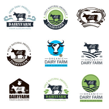 labels collection of dairy farm with animal cow isolated on white background