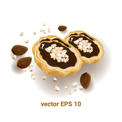 chocolate pecan pie illustration vector EPS 10