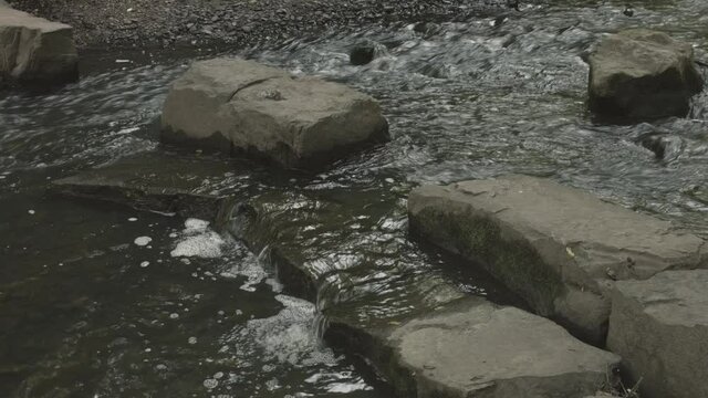 Steine im Wasser