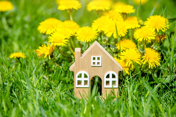 The symbol of the house stands among the yellow dandelions