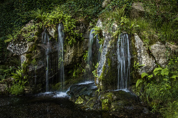 Fototapeta na wymiar Wasserfälle im Grünen Natur Stimmungsvoll Felsen Wasser Cascada