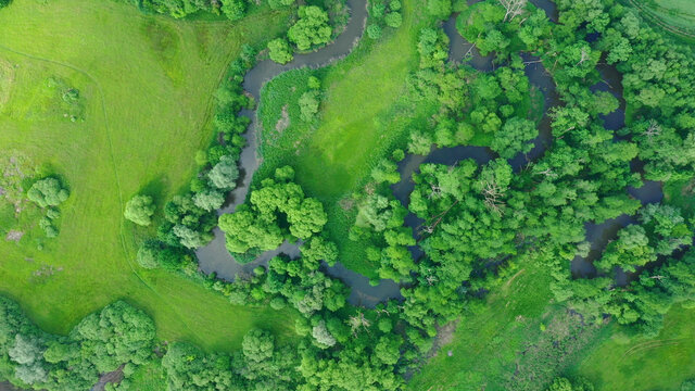 River delta river meander inland dron aerial video shot in floodplain forest and lowlands wetland swamp, quadcopter view flying fly flight show, protected landscape area of Litovelske Pomoravi