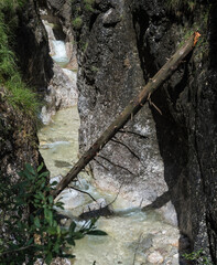 Almbachklamm im Sommer