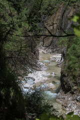 Almbachklamm im Sommer