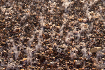 Wet sea stone texture background