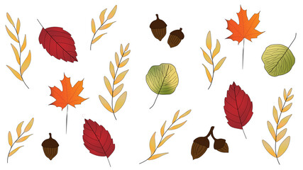 Fototapeta premium Bright, colorful autumn leaves and acorns background with yellow, orange, red and green leaves. Fall, seasonal.