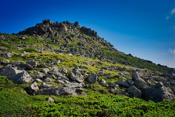 トムラウシの岩肌