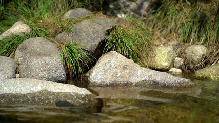 rio - água - natureza 