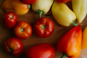the fruits of spring seedlings grown on the windowsill in a peat pot: juicy tomatoes and ripe...
