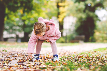 Adorable cute toddler girl picking chestnuts in a park on autumn day. Happy child having fun with searching chestnut and foliage. Autumnal activities with children.