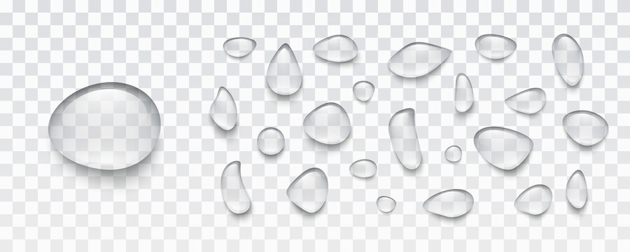 Water rain drop set isolated on transparent background. Realistic condense droplets collection. Vector clear bubbles, gel elements or dew templates