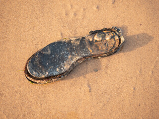 Sole of an old shoe washed up on the beach covered with barnacles and disintegrating