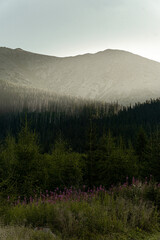 Slovak Tatra Mountains - road to Rysy