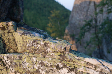 Rock