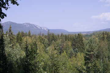 Rocks and forest