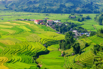 Fototapeta na wymiar Rice fields on terraced beautiful shape of TU LE Valley, view on the road between Nghia Lo and Mu Cang Chai, Yen Bai province, Vietnam.
