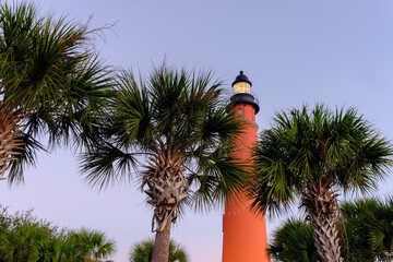 Floridian Palm trees line the walkway at the Ponce Inlet Lighthouse at Sunrise