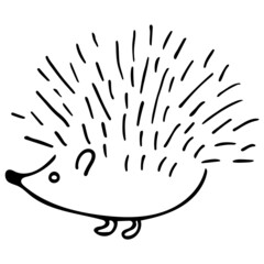 Hedgehog isolated on white background. Vector hand-drawn doodle illustration.