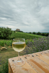 glass of white wine on the terrace close-up across vineyards, castle. and blue sky. Travel, winemaking industry	
