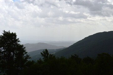 landscape on the mountain in summer