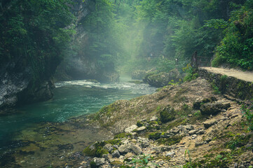 Naklejka na ściany i meble Hiking trail along the clear river through the Vintgar Gorge in Slovenia