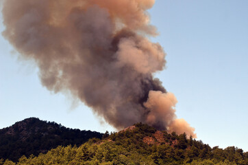 Fototapeta na wymiar Wildfire in the forest near a resort town.Marmaris, Turkey. Summer 2021
