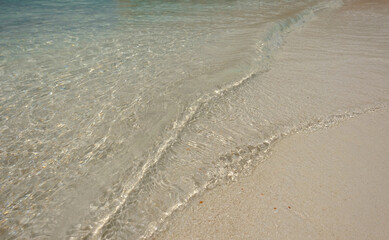 The crystal clear and shallow waters on the islands of the tropical Dry tortugas