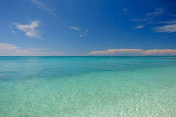The crystal clear and shallow waters on the islands of the tropical Dry tortugas