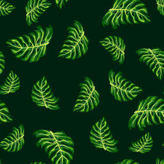 Hand drawn seamless pattern with green monstera leaves print.