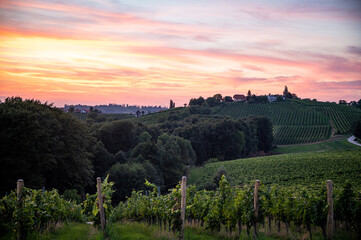 Sunset over the vineyards in Slovenia