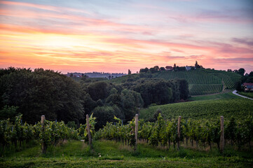 Sunset over the vineyards in Slovenia