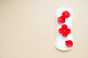 Woman's sanitary pad with red flowers. Abstract social concept of women menstrual period and women's health.