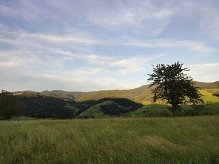 Landschaft Zell