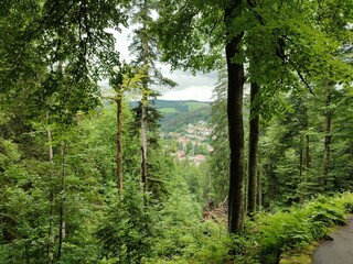 Landschaft Triberg