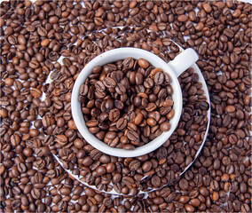 coffee beans in a cup