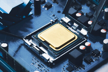 Gold CPU processor chip in connector socket on the computer motherboard and component